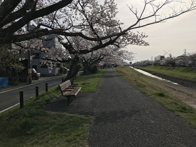 佐奈川の堤防に置かれている長椅子